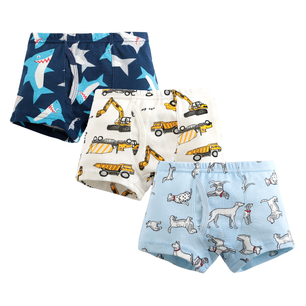 3pcs/lot 2020 New Boys Panties - Baby Clothing Dividers review and price